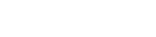 Wavium logo